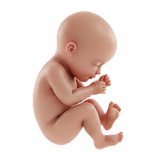 Newborn baby